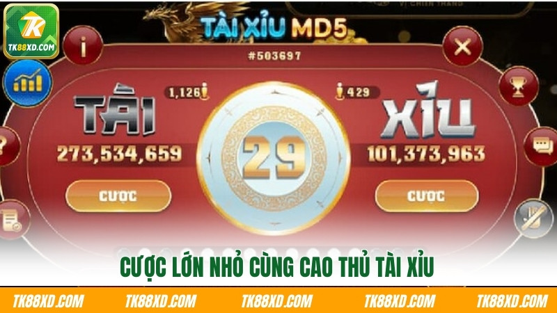 Cược lớn nhỏ cùng cao thủ tài xỉu TK88 Cược lớn nhỏ cùng cao thủ tài xỉu TK88