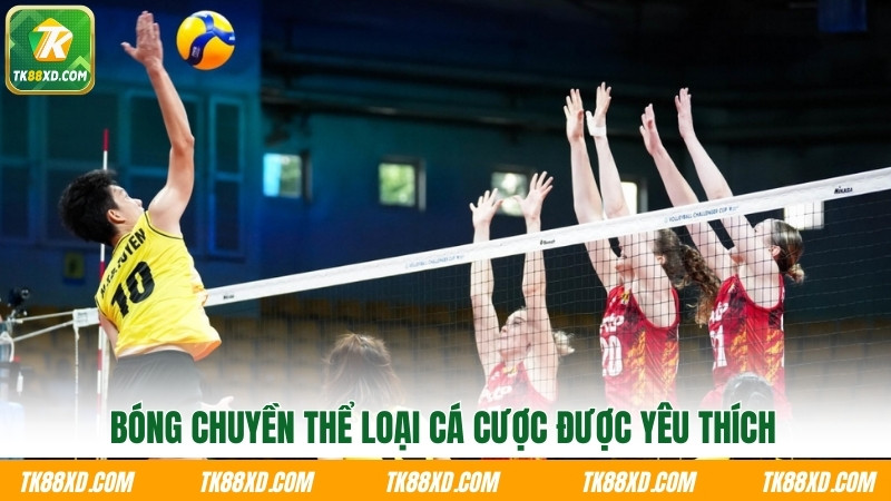 Bóng chuyền thể loại cá cược được yêu thích Bóng chuyền thể loại cá cược được yêu thích