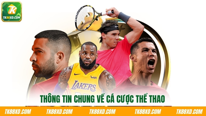 Thông tin cá cược thể thao TK88 Thông tin cá cược thể thao TK88