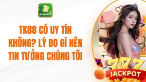 TK88 Có Uy Tín Không? Lý Do Gì Nên Tin Tưởng Chúng Tôi